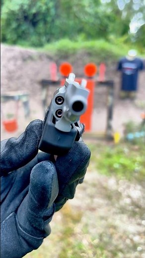 .22 MAGNUM NAA mini revolver