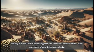 Binding protein in biology