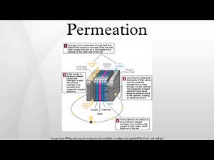 Permeation