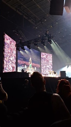 the offspring in Dublin #dublin #concert #live #theoffspring