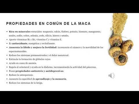 LA MACA - PROPIEDADES Y BENEFICIOS PARA LA SALUD
