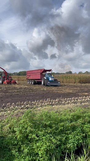 Ford TW 35 Tractor Performance Review