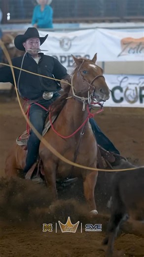 X Factor Roping on Instagram: "𝓡𝓸𝔂𝓪𝓵 𝓒𝓻𝓸𝔀𝓷 | CALF ROPING 6YR OLD & UNDER | Buckeye 2026 🌵 Average Winner 👑 HAVEN MEGED Total Score: 356.73 Horse: REYZED ON SUGAR a 2021 GELDING Sired by: KIT KAT SUGAR Owner: HAVEN AND SHELBY MEGED Breeder: MELISSA PERRY Live Feed: xftr.net/rcb26 Free Videos: XFRundelivery.com (brought to you by: @southvalleyequinehospital ) MVP | 𝘾𝙊𝙑𝙀𝙍𝙀𝘿 𝘽𝙔 𝘾𝙊𝙍𝙄 𝙀𝙌𝙐𝙄𝙉𝙀 𝙄𝙉𝙎𝙐𝙍𝘼𝙉𝘾𝙀 | Werner Equine Co. | Southwest Fence and Supply | 100X Equin