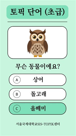 ✨ TOPIK 필수 단어 퀴즈 ｜ 실력을 확인해 보세요!