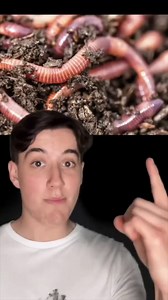 How everyday objects look under a microscope