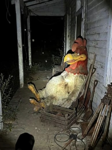 Discovering Mysterious Items in an Abandoned Barn