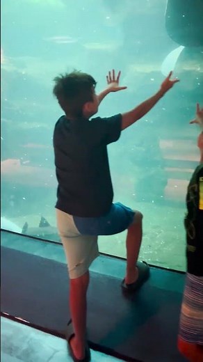 Exploring the Hidden Wonders of Sea World Orlando