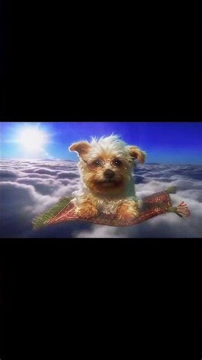 landing.mp3 • comment “playlist” for more 🧙🏼‍♂️❤️‍🩹