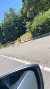 65K views · 277 reactions | Emu on Winchester road.. I think that a watch for Emu sign needs to be in this area..lol There’s an emu loose on Winchester road. If anyone knows who he belongs to please pass this on. I tried to get to him to keep him off the road, but he wanted nothing to do with me. | Cumberland on Patrol | Facebook