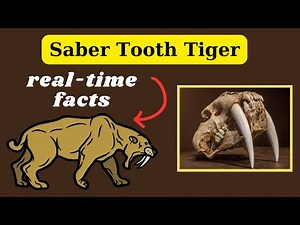 Fun Facts about Saber tooth tiger