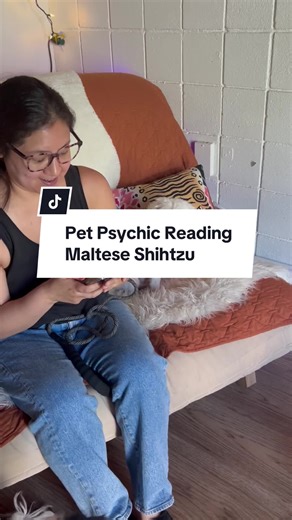 Discover Your Pet's Thoughts with a Pet Psychic Reading