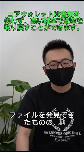 wallet.datコアウォレットファイルは完全に保存されていますので、資産を取り戻すことができます