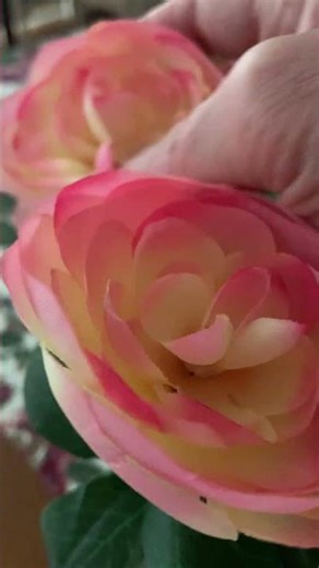 ASMR | Tracing & Scratching #shorts #asmr