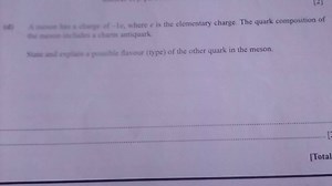 A meson has a charge of -1e, where e is the elementary charge. ... | Filo