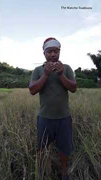 Wancho Traditional Musical Instrument Made from Paddy Straw #wancho #villagelife #trending