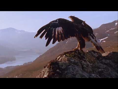 The Secret - Planet Earth Forever | HD | a manifestation gift by Rhonda Byrne