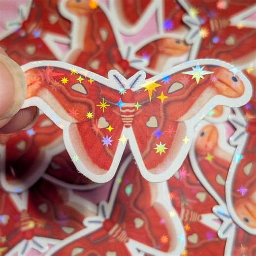 Holographic Atlas Moth Vinyl Sticker - Giant Moth Starry Sparkle Decal, Waterproof, 2-inch Nature Art for Laptops, Water Bottles, & Planners - Etsy