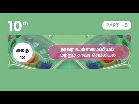 10th Science | Unit 12 | தாவர உள்ளமைப்பியல் & தாவரச் செயலியல் | Plant Anatomy & Physiology | Part 5