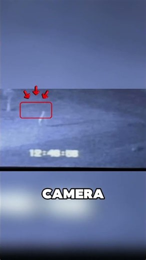 Fresno Nightcrawlers: The Strange Creatures Caught on Camera 👀