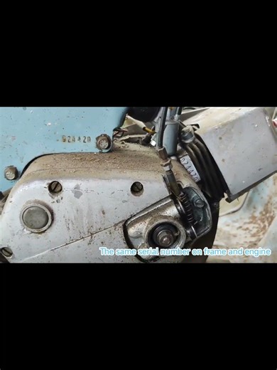 Matching Numbers on Frame & Engine 👀 1975 #tomos 14TLS #motorcycle #oldtimer #restoration #orginal