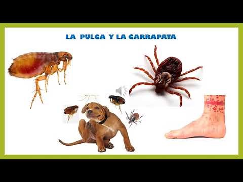 ANIMALES PERJUDICIALES