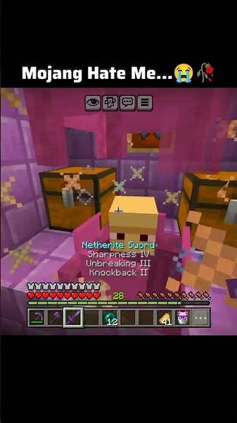 Minecraft Mojang moment…😭