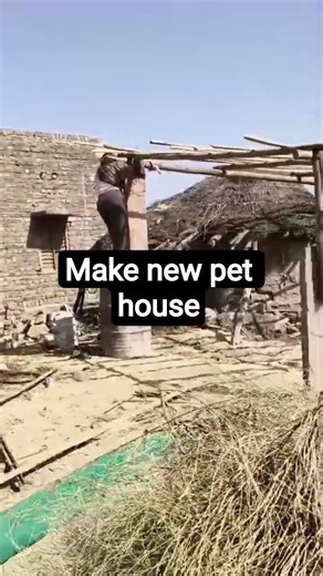 make new pet house vlog#