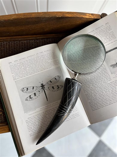 Decorative Vintage Inspired Horn Magnifying Glass - Etsy