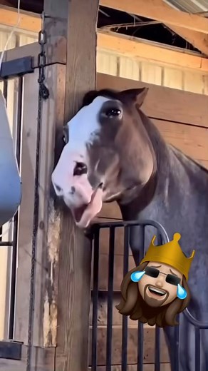 Shadoe Haze on Instagram