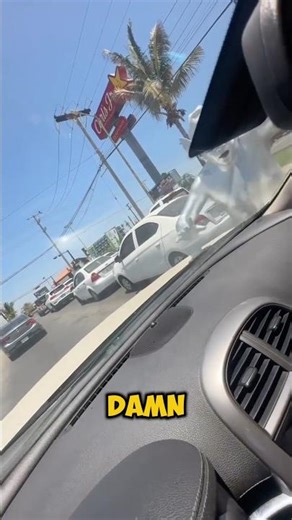 Perfect Red Light Prank😮‍💨