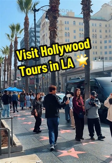 Beautiful views of Los Angeles from the Hollywood Hills to the Walk of Fame and Chinese Theatre, see it all on fun sightseeing adventures 🌴🌟 #losangeles #visitla #sightseeing #walkoffame #hollywoodtours