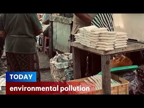 🌍📰 News Assignment – Environmental Pollution 》Let’s care for our earth together now. 🌱✨