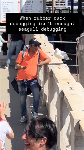 dank dev memes on Instagram: "Rubber duck debugging is a programming technique where a developer explains their code, line by line, to an inanimate object (like a rubber duck) to find bugs, forcing a detailed, logical walkthrough that often reveals the error by verbalizing assumptions and logic. This process helps programmers see the problem from a new perspective, uncovering simple mistakes or misunderstandings they’d overlooked while staring at the code. #softwaredeveloper #coding #programming