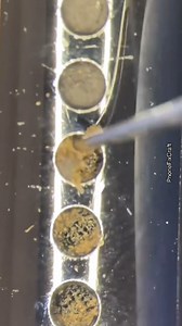 26K views · 334 reactions | #satisfying microphone #cleaning under the #microscope at #phonefixcraft | Phone Fix Craft | Facebook