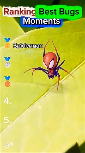 Ranking Best Bugs Moments #moments