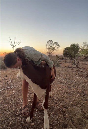 End Your Day with Miss Mary Moo on the Farm