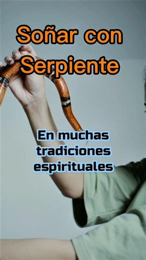 Soñar Con Serpientes Significado