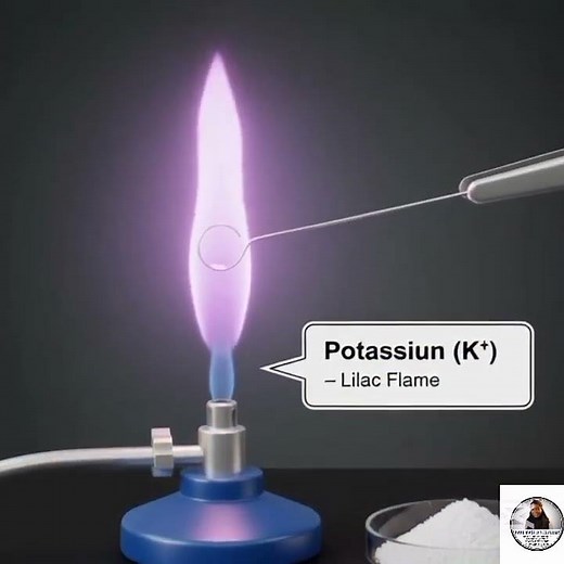 Flame Tests Explained: Identifying Metal Ions by Colour