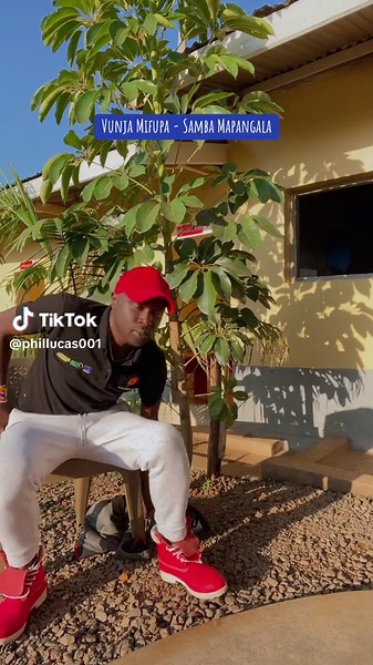 Vunja Mifupa: Samba Mapangala's Hit Song