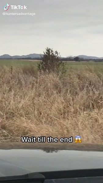 Deer Hunting: Crazy Reaction Caught on Camera