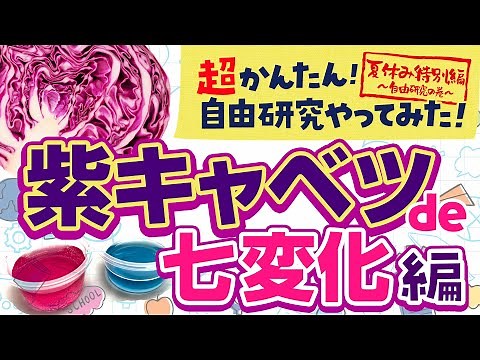 【夏休み特別編】たった1日できる自由研究をやってみた！紫キャベツ de 七変化 by 家庭教師のあすなろ