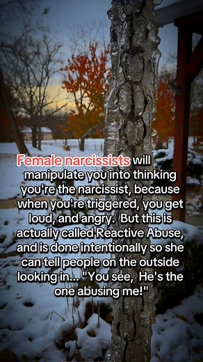 Look, if you ever had one of these in your life, then you know what I mean kick em to the curb quick as you can! #narcissist #female #male #relationship #relationships #relationshipgoals #couples #toxicrelationships #couplegoals #couple | Marty Norman