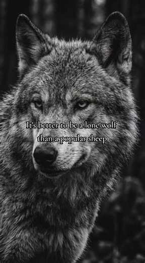 Embrace Solitude: Motivational Quotes for a Strong Mindset