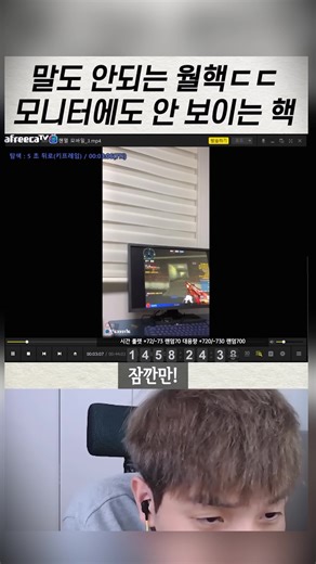 모니터캠 보호색 월핵에 대한 해명