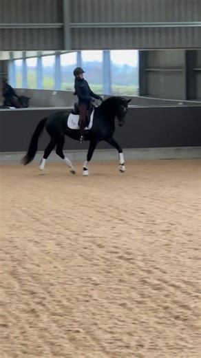 Rebecca Hughes on Instagram: "When you let your daughter @rubyhughes_official have a sit on your 3yo HP Victoria 🤩🥰"