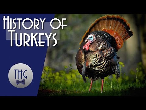 Get Stuffed! The History of the Turkey