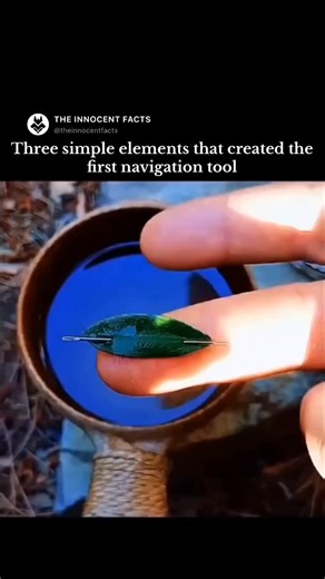 Science | History | Nature | By sticking a magnetized needle into a small piece of leaf or cork and gently floating it on still water, you create a simple ancient... | Instagram