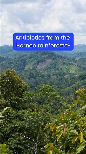 Antibiotics from the rainforests of Borneo? | Chain Reaction by ACS #podcastclips #chemistrypodcast