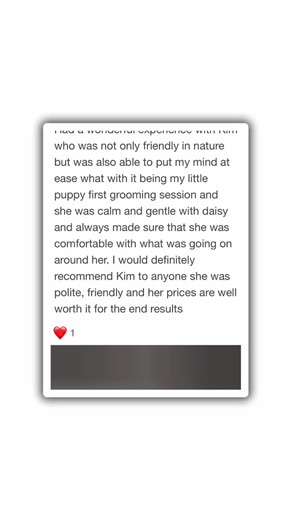 🎉 630  Five-Star Reviews! 🎉 I’m incredibly proud to say that my grooming business has now received over 630 five-star reviews on Google! Thank you to every single client who has trusted me with their dog — your support means the world to me. 🐾✨ #5star #5starreviews #medwaybusiness #medway #proud