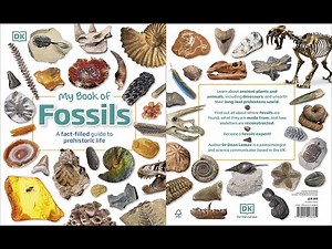 My Book of Fossils: A fact-filled guide to prehistoric life